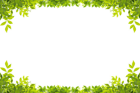 Fresh Green Leaf Border Frame with Lush Foliage Isolated on Transparent Background