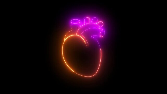 heartbeat display Electrocardiogram show heart beat line Heart health, cardiology logo animation