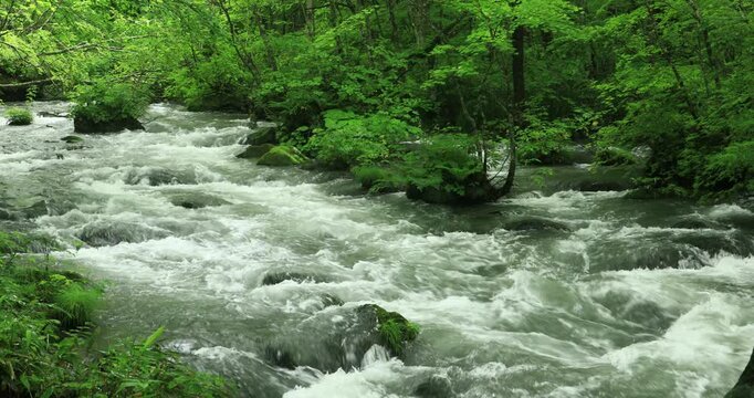 奥入瀬渓流の三乱の流れ