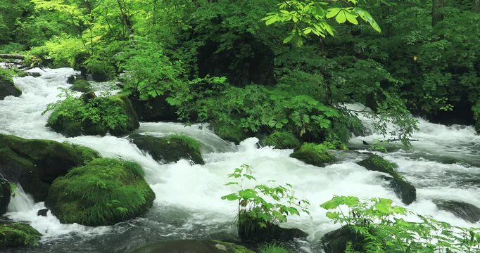 奥入瀬渓流の石ケ戸の流れ