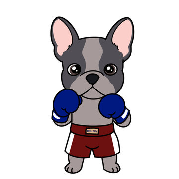 Cute french bulldog boxer character vecter illustration
