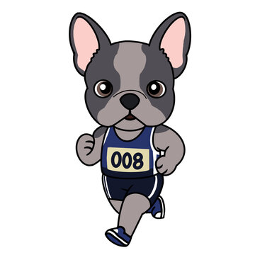 Cute french bulldog runner character vector illustration