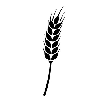 Black silhouette icon of single curved wheat ear isolated on transparent background for agriculture crop.