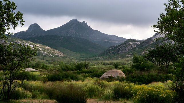 A dramatic mountain range rises above a lush valley dotted with wildflowers and scattered boulders under an overcast sky