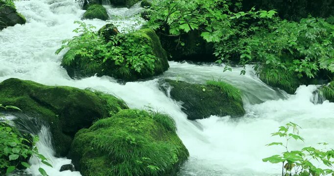 奥入瀬渓流の石ケ戸の流れ