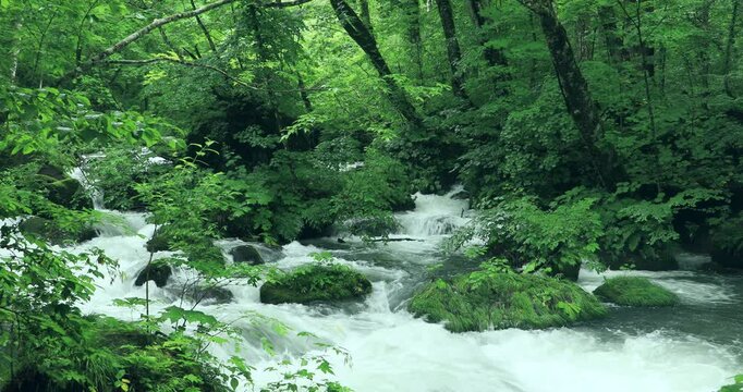 奥入瀬渓流の石ケ戸の流れ