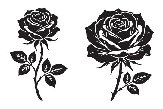 Blooming roses with stems and leaves vector graphic illustration