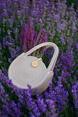lavender in a garden © Yuri Skvortsov