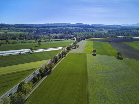 Meadows and fields, on the main road Aristau to Ottenbach, Reusstal, Freiamt, Canton Aargau, Switzerland