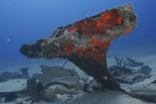 Shipwreck with exposed, rusty structures and fish below, meteor wreck dive site, Russian hydrofoil, Arguineguin, Gran Canaria, Spain, Europe, Atlantic