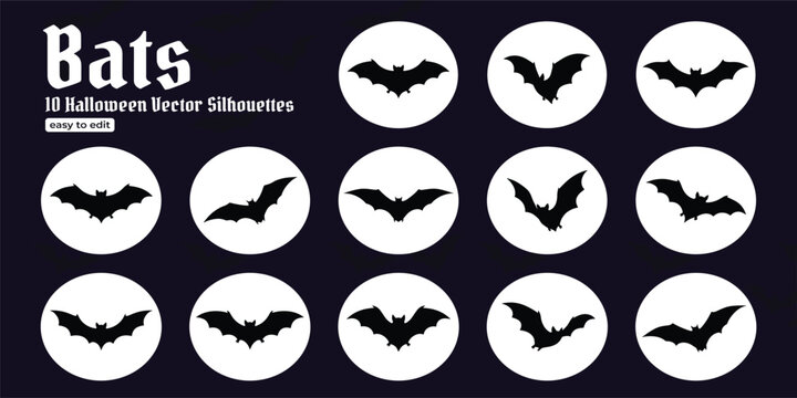 halloween bat and bats