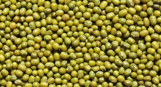 Detailed view on mung bean background. Green bean mash texture