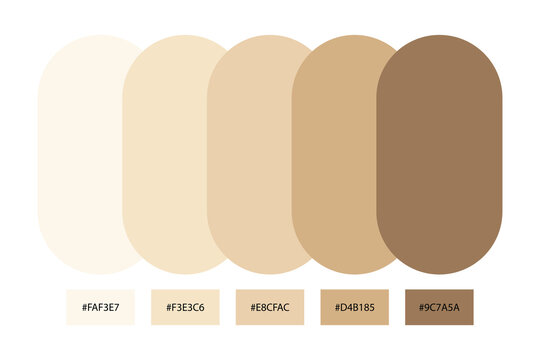  Neutral beige color palette with hex code 