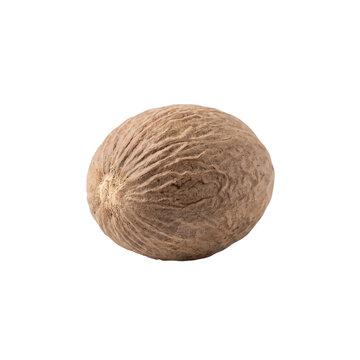 Dried nutmeg seed featuring a rough textured brown surface isolated on white background with high quality crisp studio lighting details