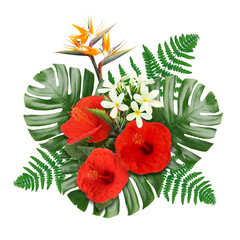 Hibiscus, strelitzia and plumeria flowers with green tropical leaves on white background. Floral composition © New Africa