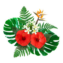 Tropical floral composition with red hibiscus, strelitzia and plumeria flowers on white background © New Africa