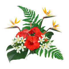 Tropical floral composition with red hibiscus, strelitzia and plumeria flowers on white background © New Africa