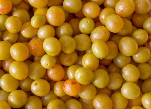 Yellow cherry plums tightly packed together to create a vibrant natural fruit background