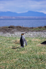 patagonia © Bruno