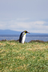 patagonia © Bruno