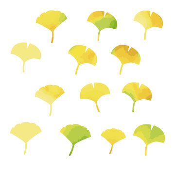 水彩風のイチョウの葉イラスト素材セット/ Watercolor Autumn Ginkgo Leaves Vector Set