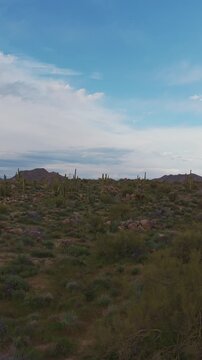 Vertical Drone View Of Sonora Desert Landscape In Arizona 