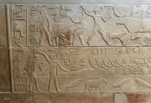 Mastaba of Kagemni, one of the noble tombs at Saqqara.