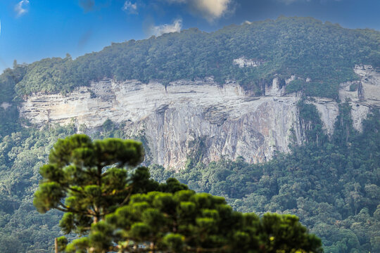 Parede de pedra