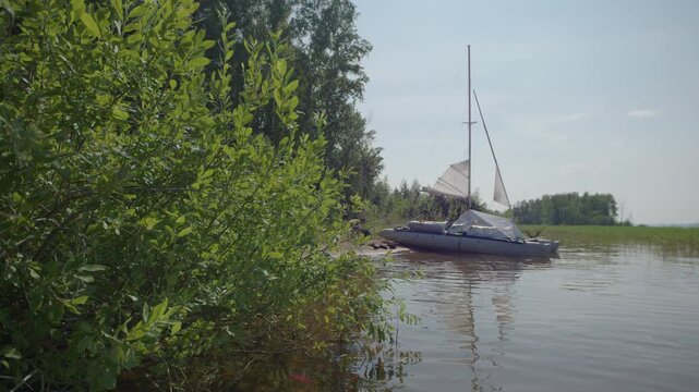 Sailing boat beached on the wild area near the lush green forest