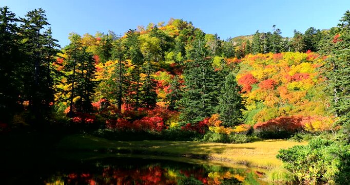 紅葉の高原温泉の滝見沼