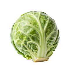 Fototapeta premium Single fresh brussels sprout with water droplets on white background