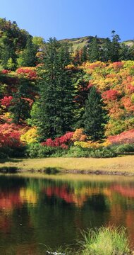 紅葉の高原温泉の滝見沼