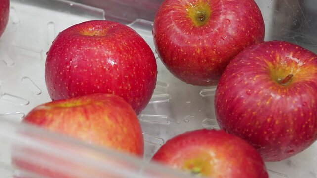 High-angle close-up shot of vibrant, ripe red apples resting inside a clear plastic clamshell container package. The fresh fruits display textured skin with light speckles, perfect for healthy eating,