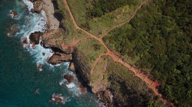 4K top-down drone footage over Punta Cometa in Oaxaca, showing winding walking trails through coastal vegetation like veins, with ocean waves breaking against rocks along the edge.