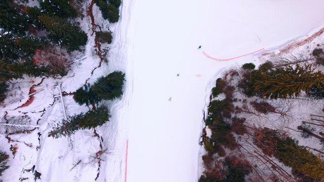 Top down view of a narrow snowy ski route in the mountains. Three people ski down a white corridor bordered by dense evergreen trees and rocky terrain.