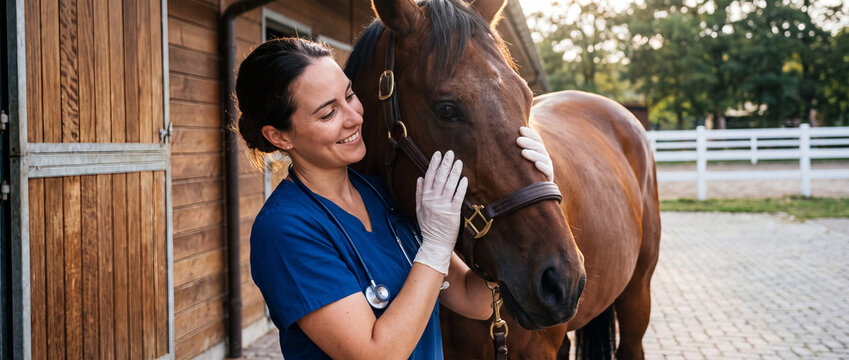 Equine veterinarian examining a brown horse at an outdoor stable, wearing blue scrubs and protective gloves during a routine health checkup for animal healthcare banners