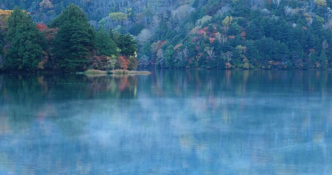 奥日光の朝の紅葉の湯の湖
