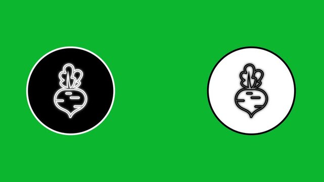 Beetroot vegetable line art icon animation on green screen background with black and white circles.