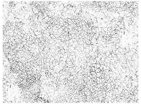 Cracked grunge texture with dense fine fissures and gritty distressed surface detail. Monochrome vector backdrop for weathered, aged and broken graphic effects.