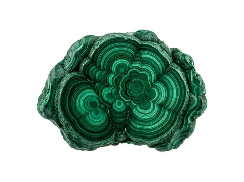 Polished malachite mineral specimen with concentric green banding