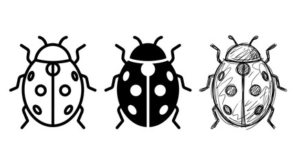 Fototapeta premium Ladybug Icons Black and White