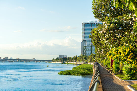 Peaceful waterfront landscape with modern city buildings
