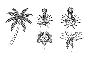 Fototapeta premium Vector illustration collection of various tropical trees and exotic fruits