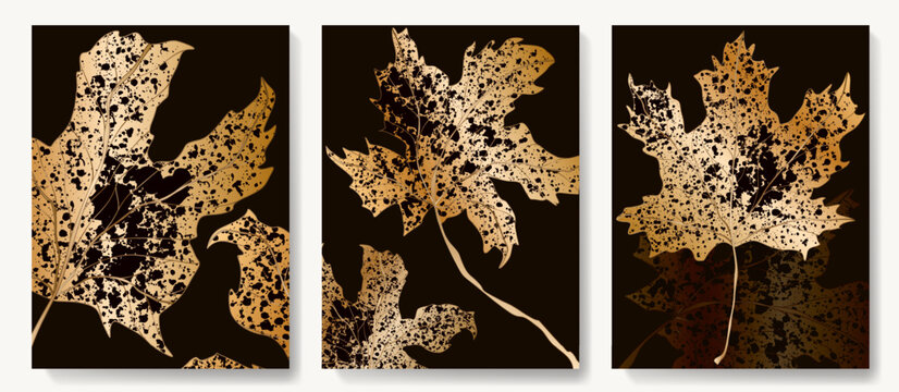 Set of premium backgrounds featuring golden dried autumn leaves. Botanical posters for decor, prints, packaging, textiles, and interiors.