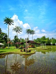 Calm waters mirror palm trees and open sky. Green grass surrounds rustic wooden benches. Tall palms stand proudly beside tranquil pond. Bright blue clouds drift above lush canopy © RJuniantoro_