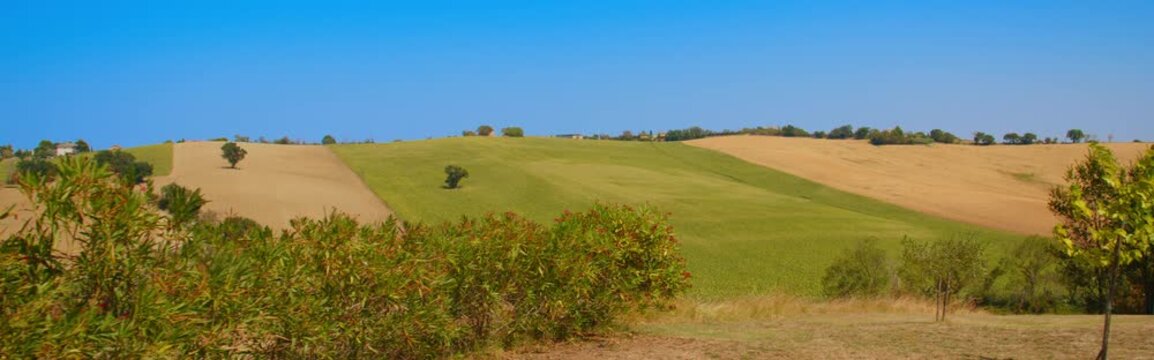Traditional Rural Landscape with Fields and Homes in Italy
