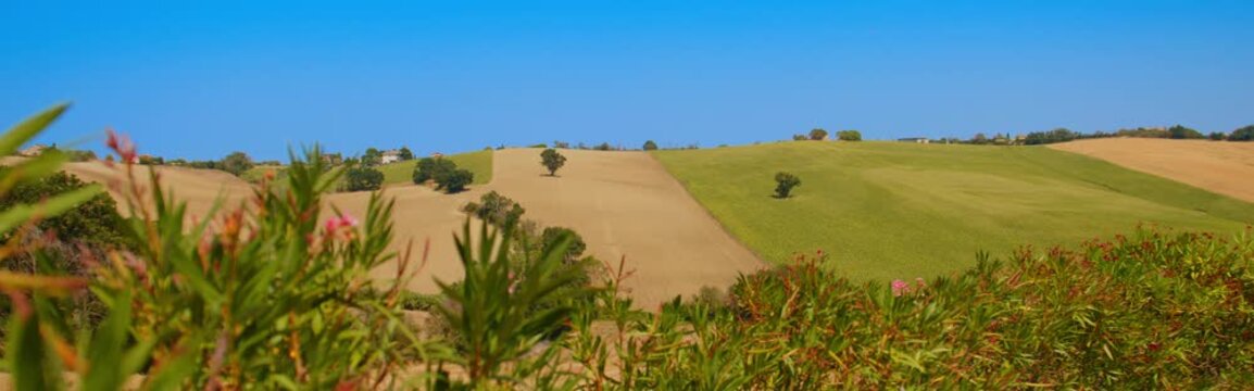 Idyllic Italian Countryside with Rolling Fields and Trees