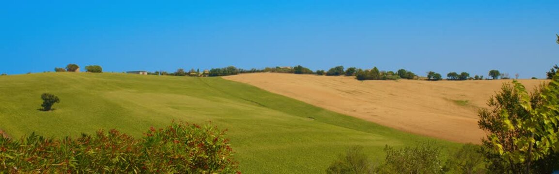 Scenic Rolling Hills with Trees and Farmhouses in Central Italy