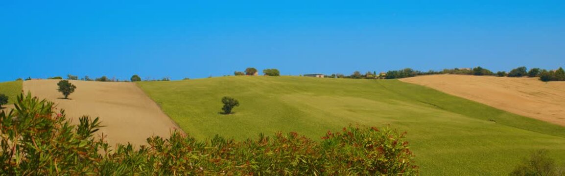 Rural Houses Surrounded by Fields and Trees Near Ancona