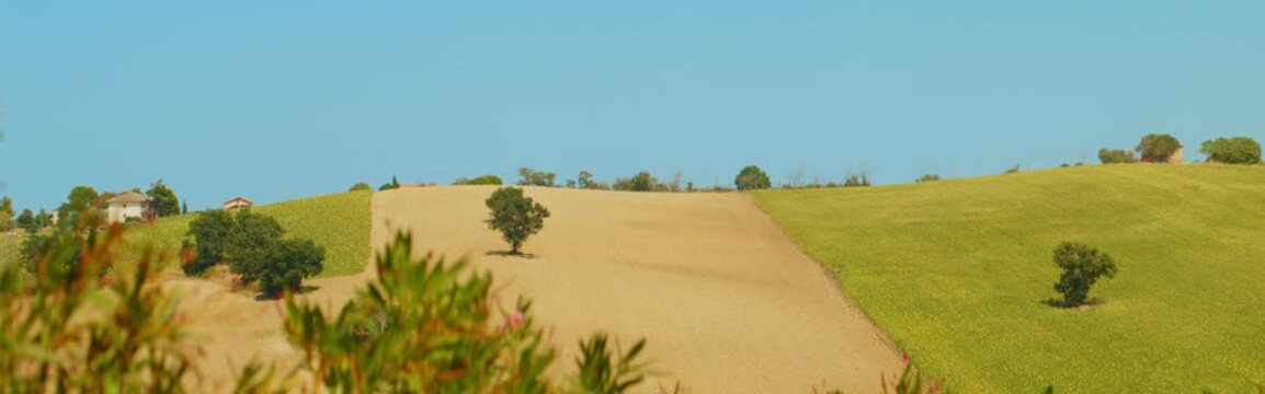 Rolling Hills and Farmland in the Ancona Countryside, Italy